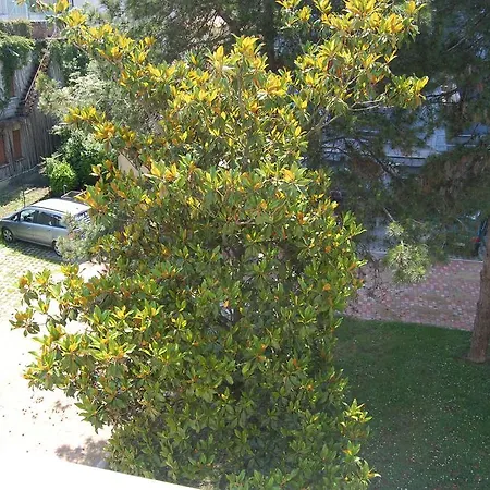 Elegance リニャーノ・サッビアドーロ